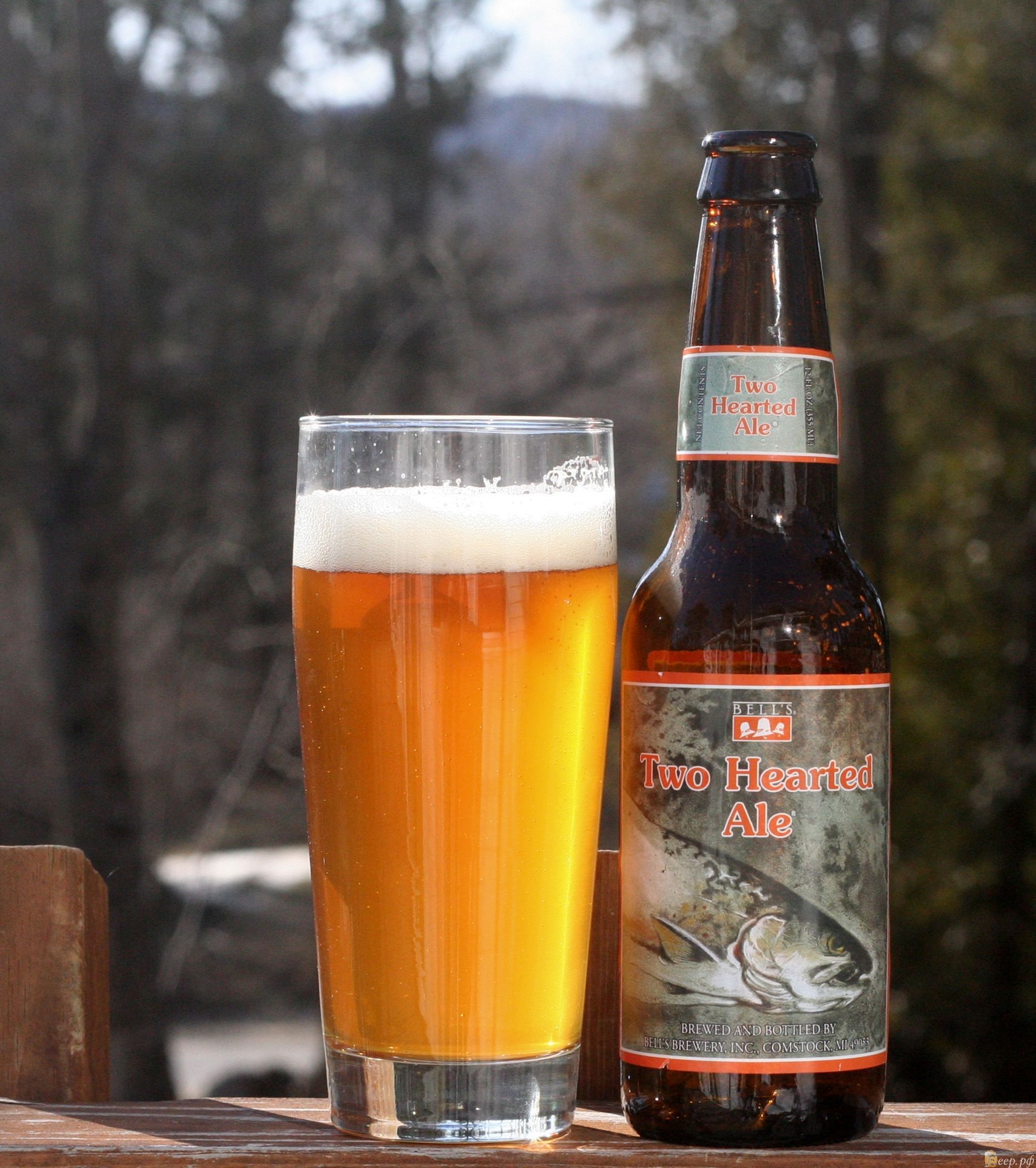 2 Hearted (Американский ИПЭ (IPA)) | Рецепт пива от pvu75